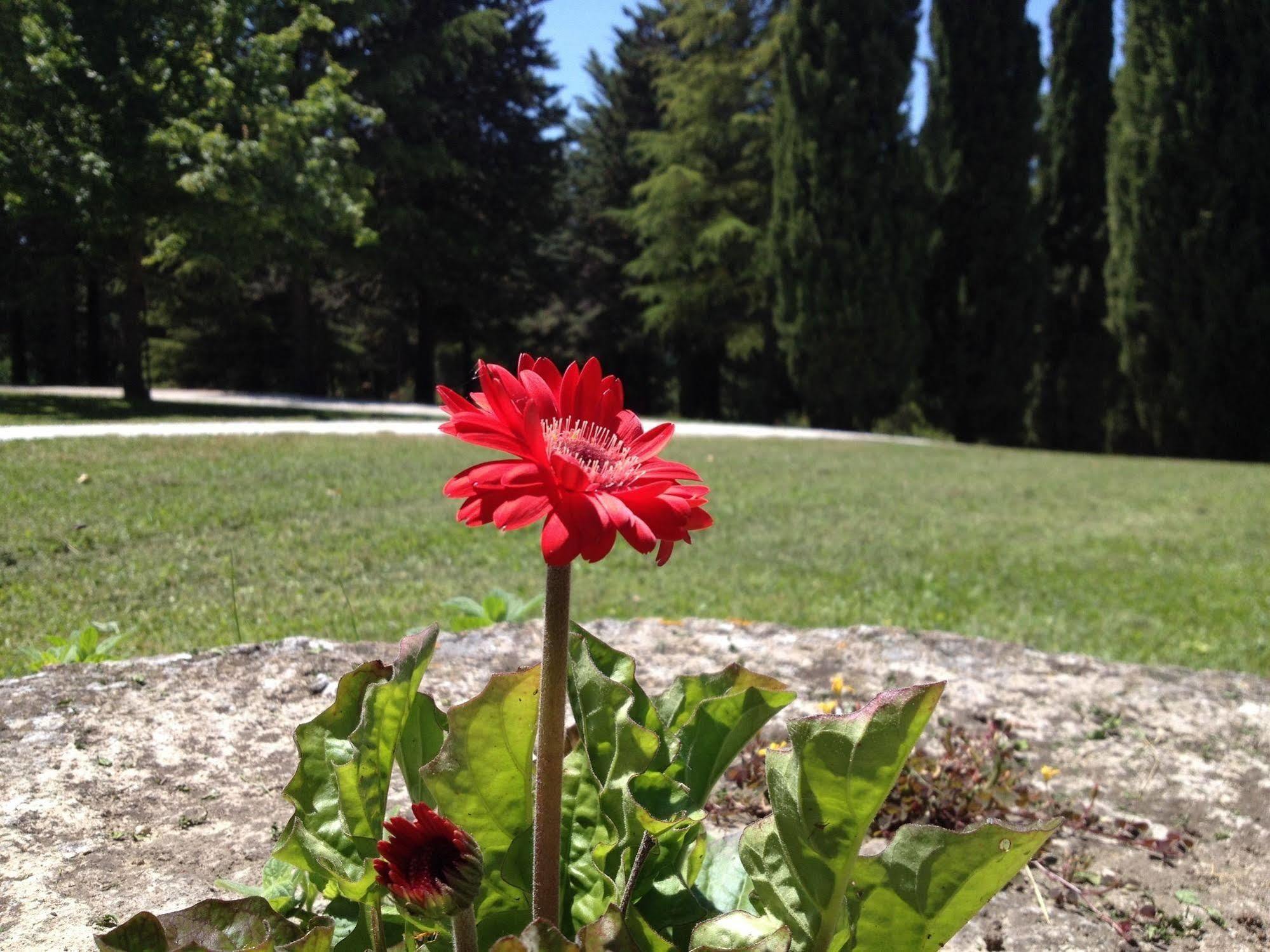 Convento Di San Francesco Mondaino B&B 외부 사진